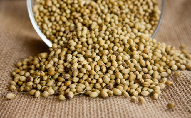 Organic Coriander (Dhania) Powder