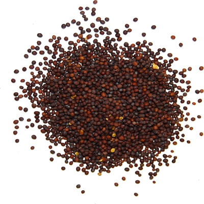 Pahari Rai Seeds (500gm)